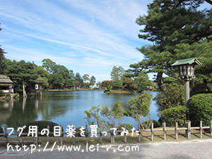 兼六園 金沢観光